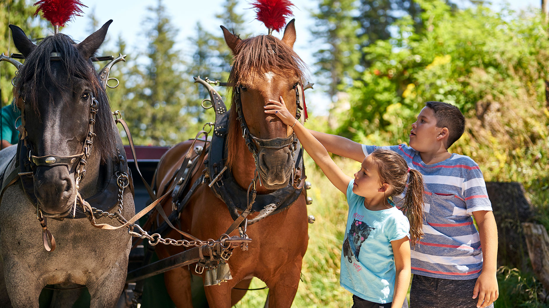 Kinder mit Pferdekutsche